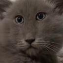 avatar Obsranejaja_420