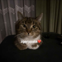 avatar Obsranejaja_420