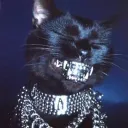 spartanontopp avatar