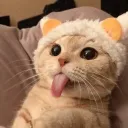 moniikute