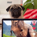 avatar Tête en l'air