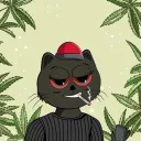 kingfeline2499
