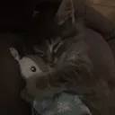 kacevn