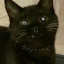 avatar 𝖓𝖔𝖔𝖗