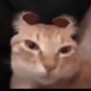 Ĺèģέȵďɑ VA