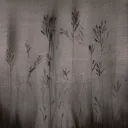 rainms