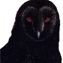 atrueknightmare