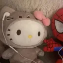 aggressive.cat.lover