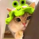 .helloally