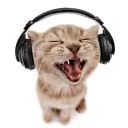 younapersona.21 avatar