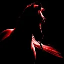 zenithray01