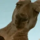bob12386