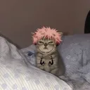 sh4rvin