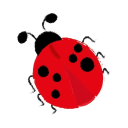 Buggy
