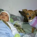 diegocamelia12 avatar