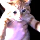 rominjun