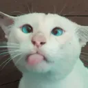 .ru8y