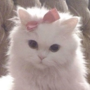 avatar JJ
