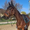 senyskana