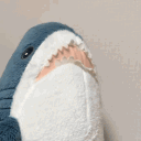 tadanosame