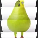 chronlchle