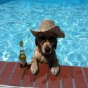 angelinhozzz_ avatar