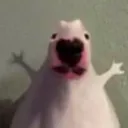 roooot.dev