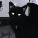 calwho#3778's avatar