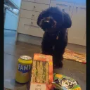 pepper_roni_