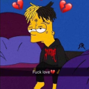 !                LGsys
