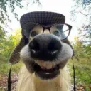 grimpo66