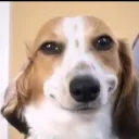 xyzlr