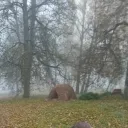 milesdablwckone.og avatar