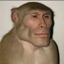 unknownuserop272