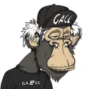 dudegacc4253