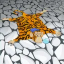 rugcleaner6574