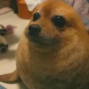 o.rbitaa