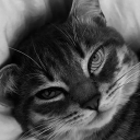 avatar _undaz ♱¹⁶⁰⁰