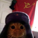 tomik_13