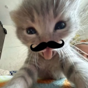 avatar Dee