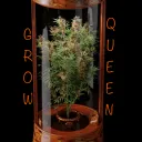 growqueen42069
