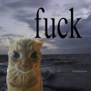 avatar 𝓖𝓮𝓸𝓻𝓰𝓮