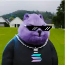 trabzquokkazone1876