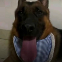 avatar Чизбургер