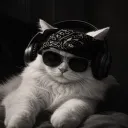 yourblackcat_