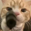 dowimixworsafe