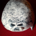 moinirimboo