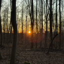 lyonea_2007