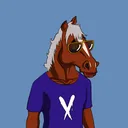 darkhorsestableclub