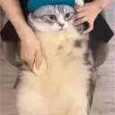 yoitsnightmare